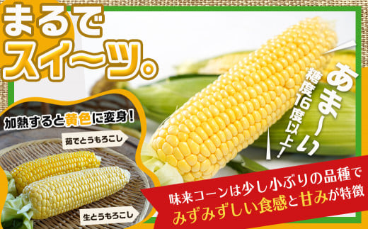 ãå
è¡åä»ãæã©ã!!éœåç£ã¹ã€ãŒãã³ãŒã³(峿¥ã³ãŒã³)5kg 15æ¬ä»¥äž_12-B401-6_(éœååž) æã©ã ãšããããã ã¹ã€ãŒãã³ãŒã³ 5ãã çŽ15æ¬ä»¥äž ç£å°çŽé ã¿ãã¿ããã ããŸã