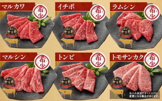 宮崎牛食べ比べ10種盛り焼肉セット(各600g×2P)_34-3103_(都城市) 都城産 宮崎牛 A4ランク 焼肉 セット 内モモ カタ トンビ ランプ ラムシン マルシン カメノコ イチボ マルカワ ミスジorトモサンカク 10種類 贈答用  ギャル曽根さんおすすめの牛肉返礼品