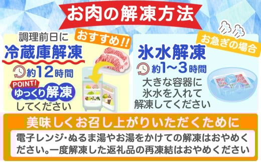 宮崎牛食べ比べ10種盛り焼肉セット(各600g×2P)_34-3103_(都城市) 都城産 宮崎牛 A4ランク 焼肉 セット 内モモ カタ トンビ ランプ ラムシン マルシン カメノコ イチボ マルカワ ミスジorトモサンカク 10種類 贈答用  ギャル曽根さんおすすめの牛肉返礼品