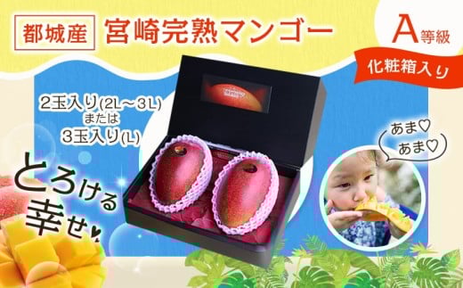 【先行受付!】宮崎完熟マンゴー2～3玉(都城産)_AC-3303_(都城市) 宮崎マンゴー A等級 2玉～3玉 2Lサイズ～3Lサイズ MANGO フルーツ 化粧箱 宮崎県産 都城産 産地直送 冷蔵
