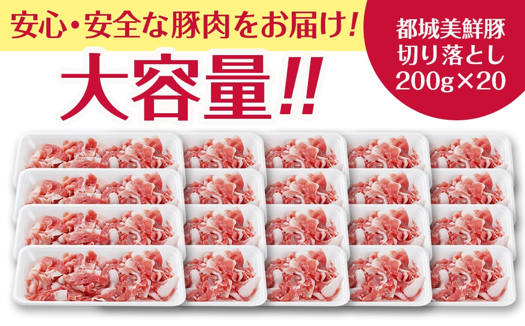 都城美鮮豚切り落とし4kgセット(200g×20パック)_MJ-5402_(都城市)都城美鮮豚 モモウデ 切り落とし 200g×20パック 焼きそば 炒め物 丼もの