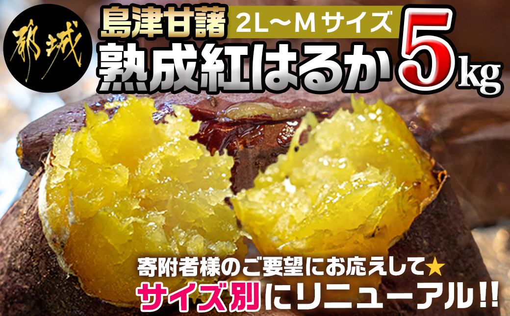 島津甘藷　熟成紅はるか 5kg(2L～M)_LE-A701