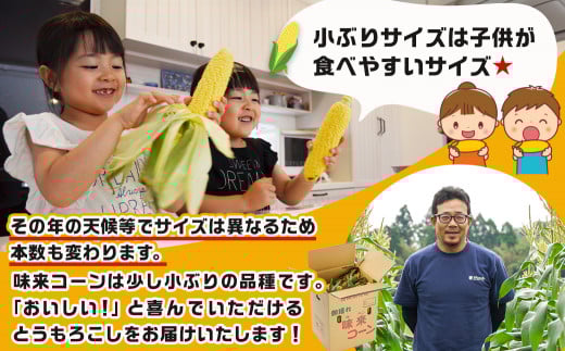 【先行受付】朝どれ!!都城産スイートコーン(味来コーン)5kg 15本以上_12-B401-6_(都城市) 朝どれ とうもろこし スイートコーン 5キロ 約15本以上 産地直送 みずみずしい あまい