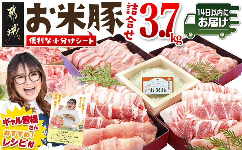 お米豚3.7kgセット≪みやこんじょ快速便≫_23-3101-R_(都城市) 豚肉 豚ロース 豚こま切れ 豚バラ肉 豚肩ロース ブランド豚 小分け シート仕切り スライス肉 14日以内にお届け  ギャル曽根さんおすすめの豚肉返礼品