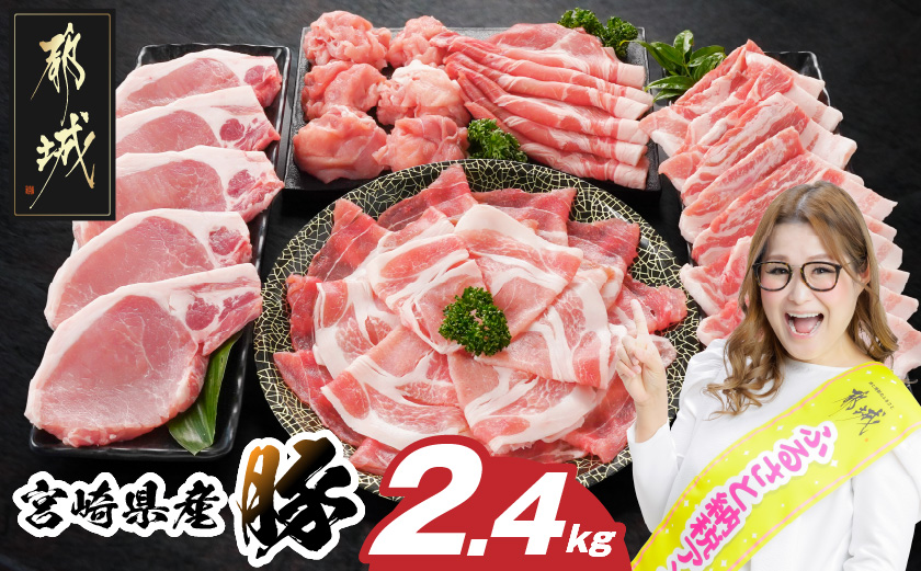宮崎県産豚わくわく2.4kgセット(真空)_14-8406-s_(都城市) 豚肉 豚肉セット 宮崎県産豚 しゃぶしゃぶ バラ 焼肉 切り落とし 肩ローススライス ロース とんかつ ミンチ 使い勝手抜群 小分け 真空