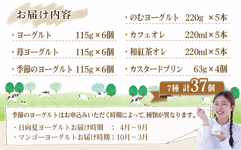 高千穂牧場ヨーグルト&ドリンクバラエティセット(プリン付き)《ご入金翌月の中旬〜下旬の水曜日頃出荷》_MJ-1616_(都城市) 乳製品 ヨーグルト 苺ヨーグルト 季節のヨーグルト のむヨーグルト カフェオレ 和紅茶オレ カスタードプリン セット ヨーグルト 7種 濃厚 和紅茶オレ 