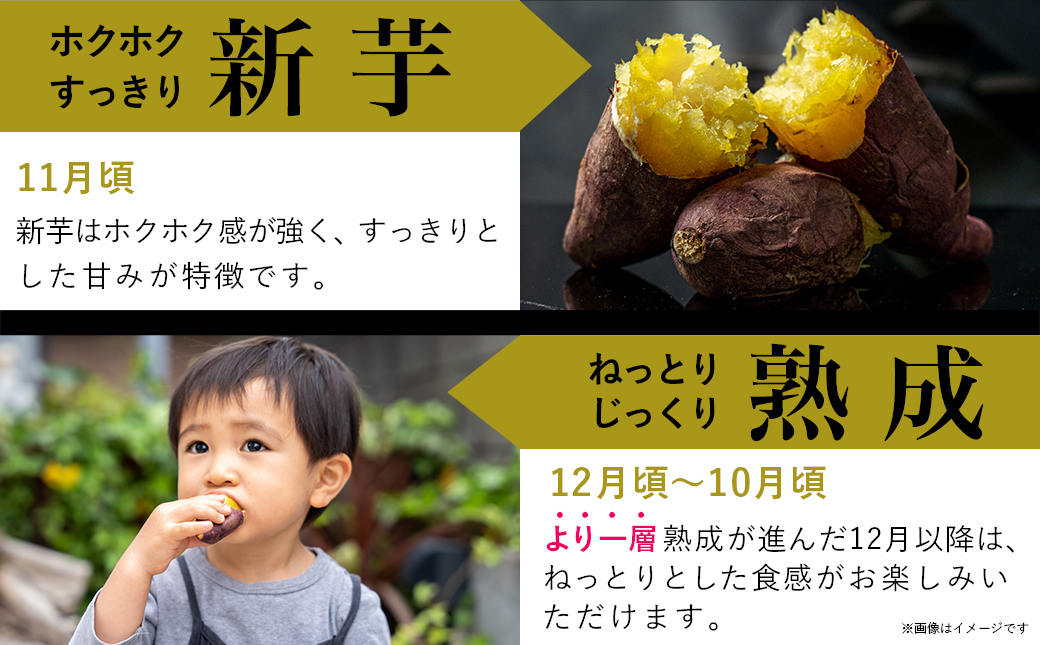 å
è¡åä»!ã11æãå±ãã島接çè·ãçæçŽ
ã¯ãã 5kg(Sã2S)_LE-A7-001-5kg-m-11