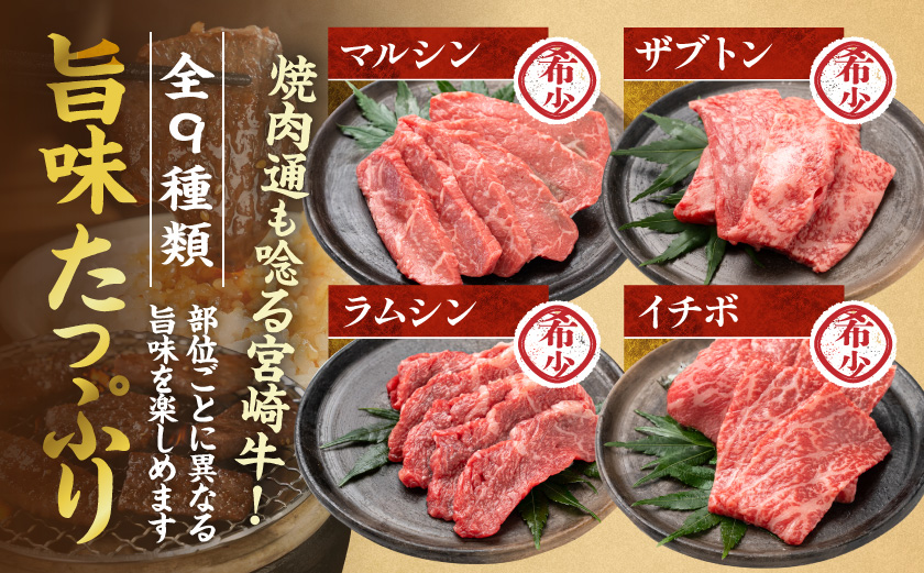 【数量限定】宮崎牛9種盛り焼肉セット_31-006-600g
