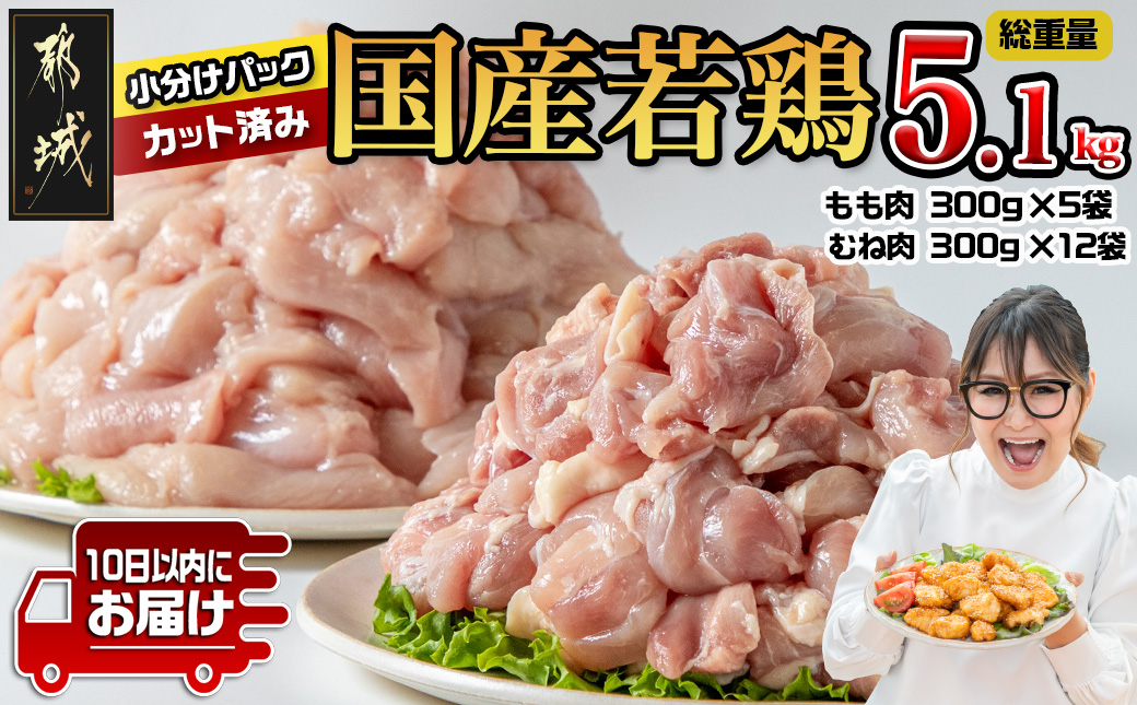 国産若鶏5.1kg 小分けパック!カット済み!(もも300g×5P・むね300g×12P)≪みやこんじょ特急便≫_MJE-3301-Q