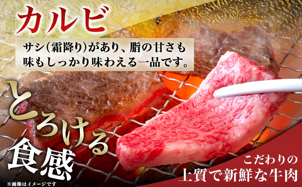 宮崎牛カルビ 500g_18-4205_(都城市) 宮崎牛 牛肉 カルビ 500g 焼肉 BBQ バーベキュー ギフト 贈答用