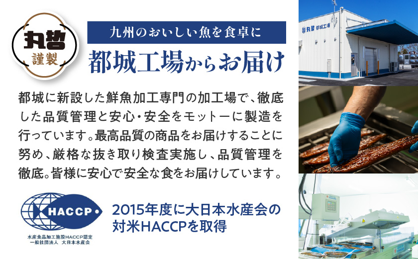 宮崎県育ちの【特大】うなぎ蒲焼1尾210g以上≪山椒・たれ付≫_11-M301
