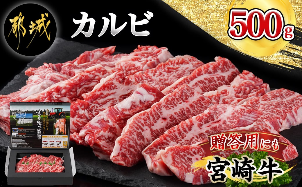 宮崎牛カルビ 500g_18-4205_(都城市) 宮崎牛 牛肉 カルビ 500g 焼肉 BBQ バーベキュー ギフト 贈答用
