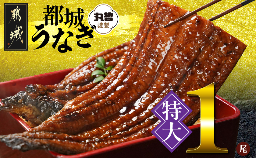 宮崎県育ちの【特大】うなぎ蒲焼1尾210g以上≪山椒・たれ付≫_11-M301