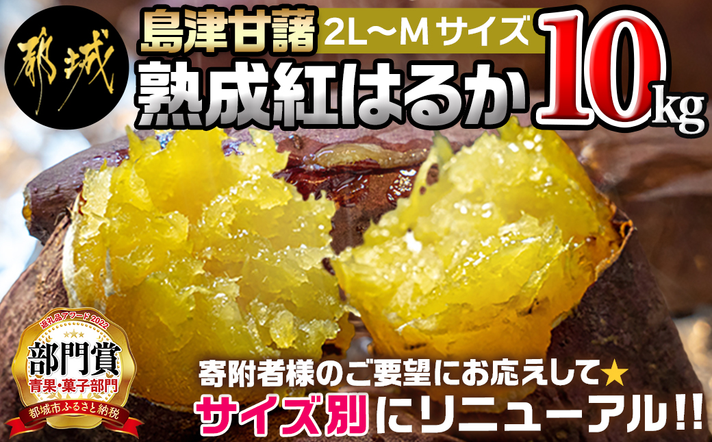島津甘藷　熟成紅はるか 10kg(2L～M)_12-A701