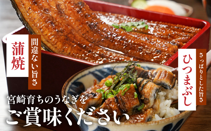 螳ョ蟠守恁閧イ縺。縺ョ縺縺ェ縺手調辟シ4蟆セ720g莉・荳岩岡螻ア讀偵サ縺溘l莉倪沖_AE-M301