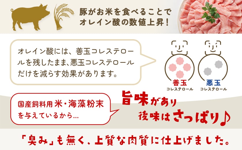 お米豚2.2kgセット≪みやこんじょ快速便≫_14-3101-R