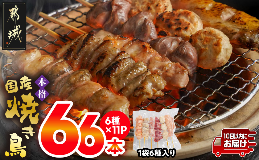職人串打ちの本格焼き鳥66本!!≪みやこんじょ特急便≫_MJ-3312-Q