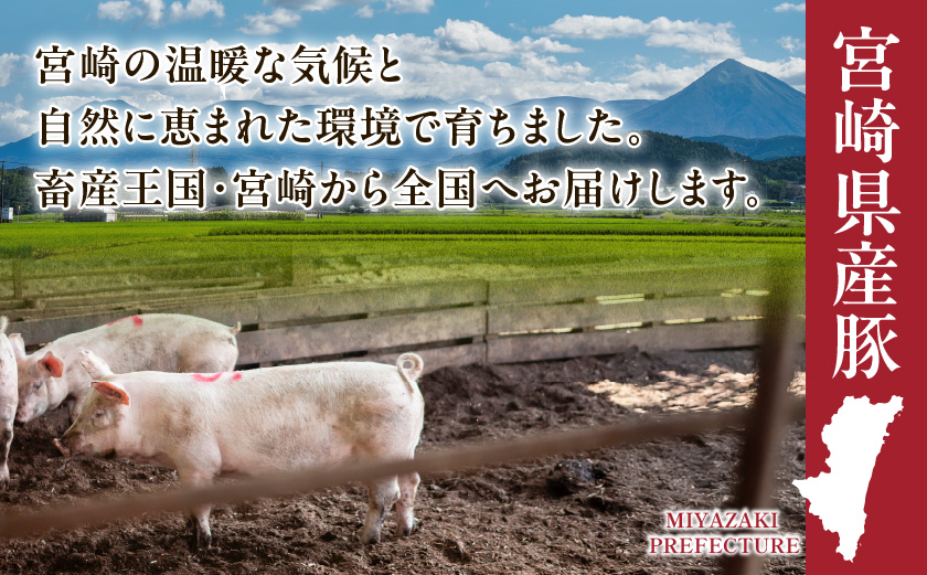 宮崎県産豚肉バラスライス3kg(真空)_18-8907