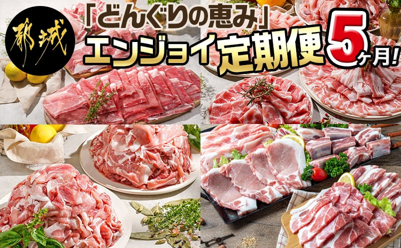 「どんぐりの恵み豚」エンジョイ定期便(5ヶ月)_T40(5)-1102