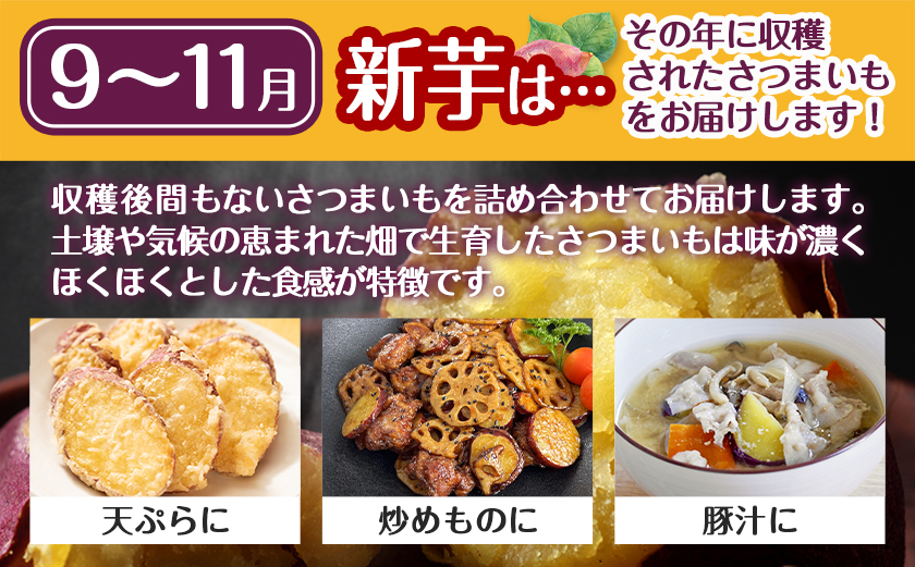 ãæ°èãèå人ãèªãããã€ãŸãããæŽãæžã¿ãçŽ
ã¯ããã5.2kg MSãµã€ãº â»9æïœ11æé é æ¬¡çºé_LE-L704-N