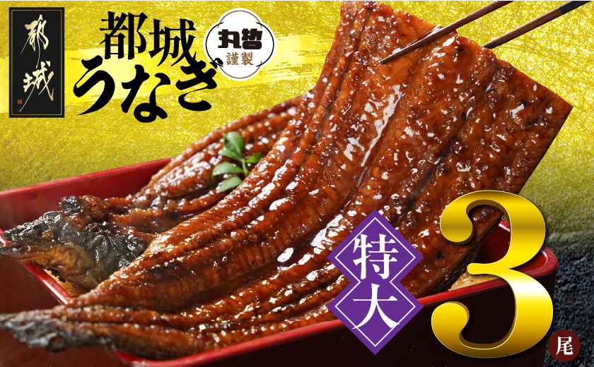 宮崎県育ちの【特大】うなぎ蒲焼3尾680g以上≪山椒・たれ付≫_29-M301