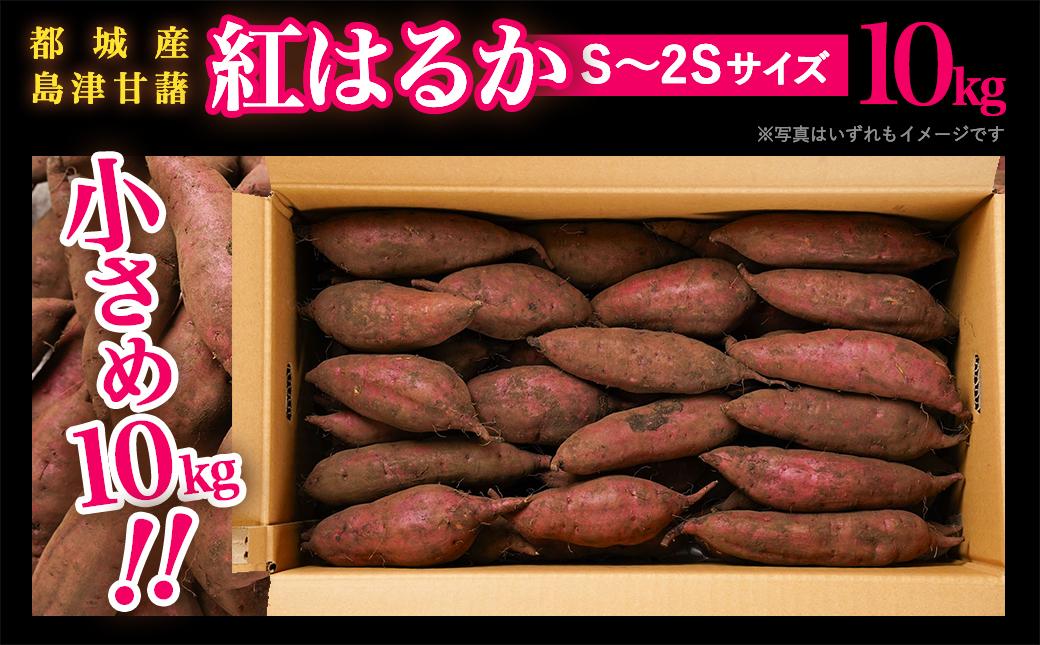 先行受付!【11月お届け】島津甘藷　熟成紅はるか 10kg(S〜2S)_12-A7-001-10kg-m-11