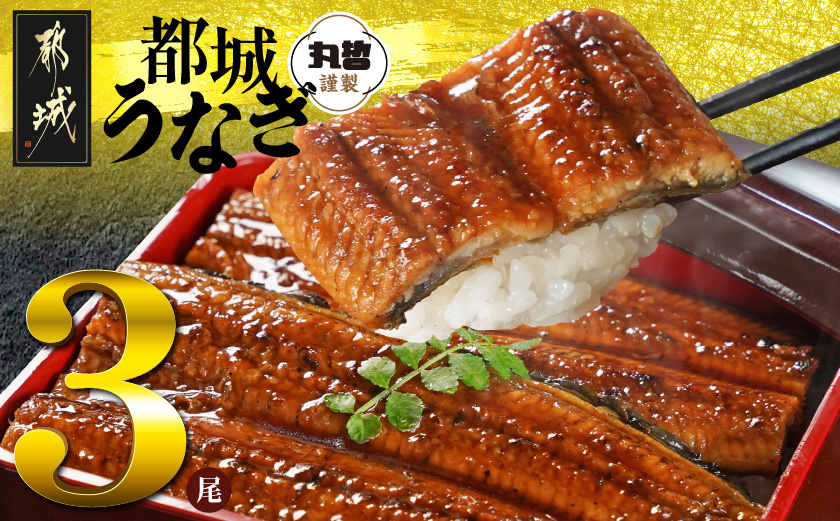 宮崎県育ちのうなぎ蒲焼3尾500g以上≪山椒・たれ付≫_AC-M301