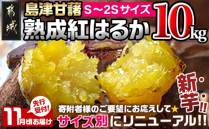 先行受付!【11月お届け】島津甘藷　熟成紅はるか 10kg(S〜2S)_12-A7-001-10kg-m-11