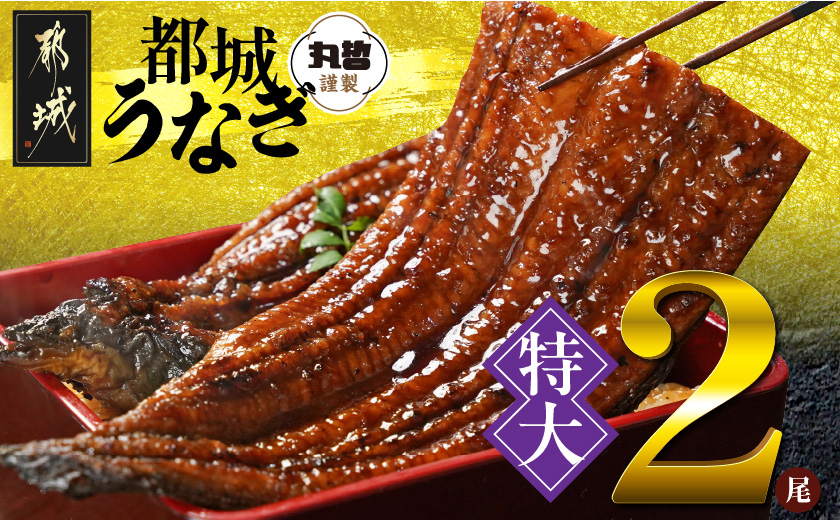 宮崎県育ちの【特大】うなぎ蒲焼2尾440g以上≪山椒・たれ付≫_18-M301