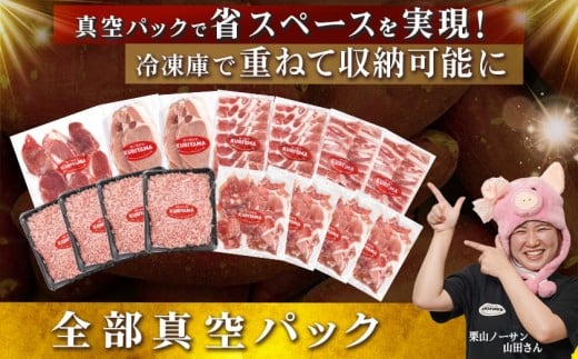 全部真空パック！「おさつポーク」バラエティ3.9kgセット_14-019_(都城市) 豚肉 小分け 真空 ヒレ トンカツ ロース 豚カツ カット 焼肉用 カット肉 バラ 小間切れ ミンチ 栗山ノーサン 肉 ポーク 国産 とんかつ用 焼肉用 脂身 甘い