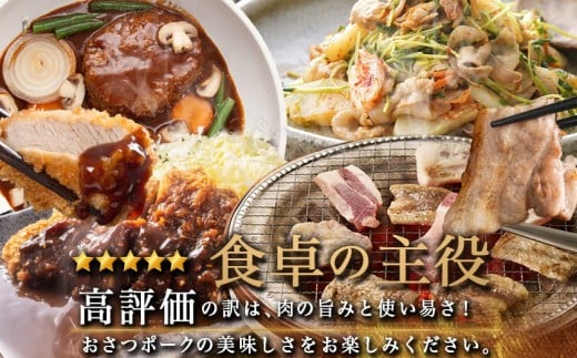全部真空パック！「おさつポーク」バラエティ3.9kgセット_14-019_(都城市) 豚肉 小分け 真空 ヒレ トンカツ ロース 豚カツ カット 焼肉用 カット肉 バラ 小間切れ ミンチ 栗山ノーサン 肉 ポーク 国産 とんかつ用 焼肉用 脂身 甘い