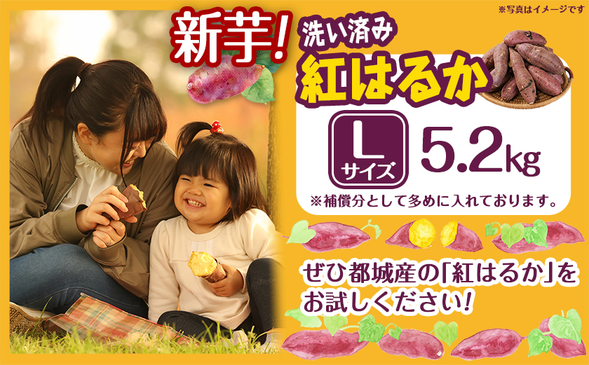 ãæ°èãèå人ãèªãããã€ãŸãããæŽãæžã¿ãçŽ
ã¯ããã5.2kg Lãµã€ãº â»9æïœ11æé é æ¬¡çºé_LE-L702-N