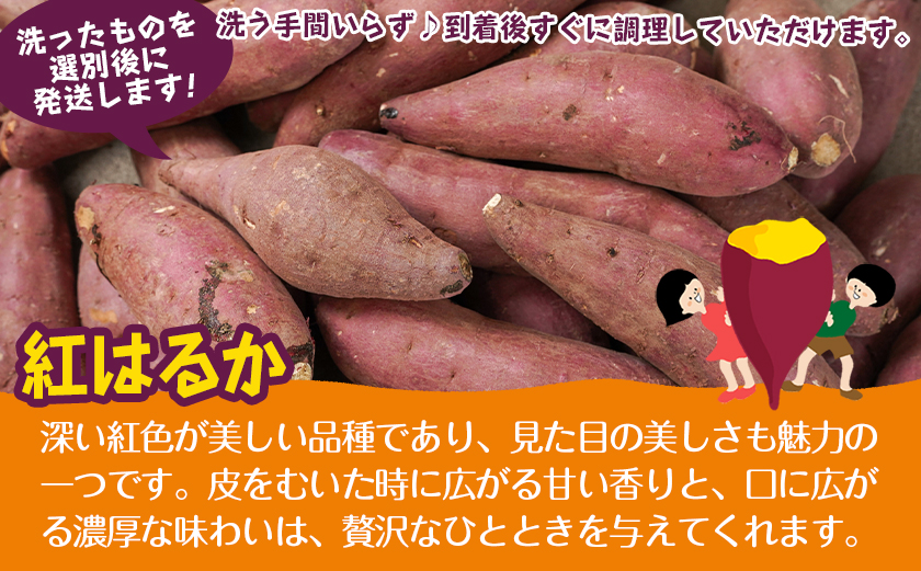 ãæ°èãèå人ãèªãããã€ãŸãããæŽãæžã¿ãçŽ
ã¯ããã5.2kg Lãµã€ãº â»9æïœ11æé é æ¬¡çºé_LE-L702-N