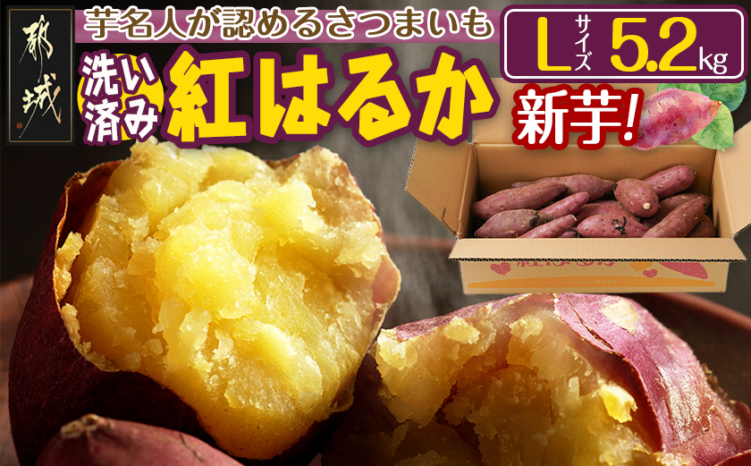 ãæ°èãèå人ãèªãããã€ãŸãããæŽãæžã¿ãçŽ
ã¯ããã5.2kg Lãµã€ãº â»9æïœ11æé é æ¬¡çºé_LE-L702-N