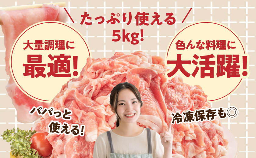 「前田さん家のスウィートポーク」切り落とし5kg_17-8907_(都城市) 豚肉 切落し肉 500g 小間切れ 小分け 10パック 計5キロ 銘柄豚 ブランドポーク