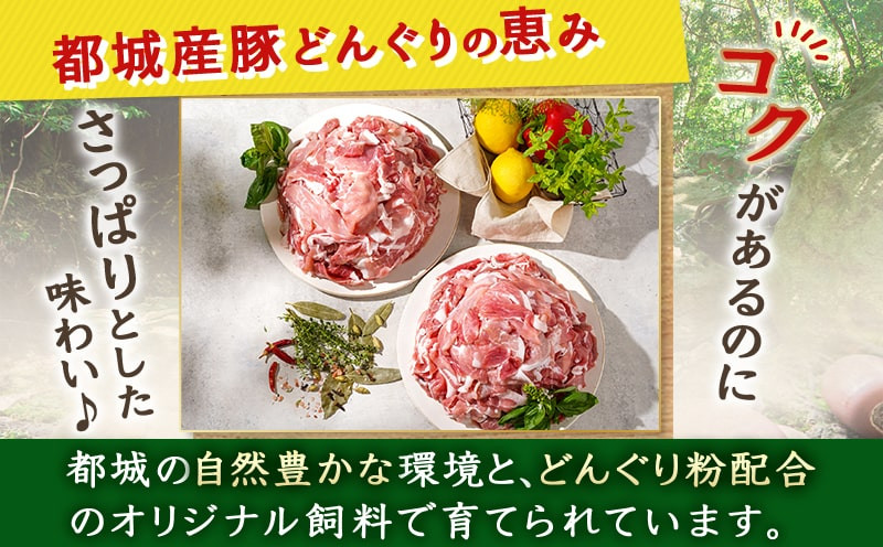 「どんぐりの恵み豚」こま切れ5.1kg_17-1103_(都城市) 都城産豚 どんぐりの恵み こま切れ 300g 17P 合計5.1kg 小分け 真空包装 保存に便利 冷凍