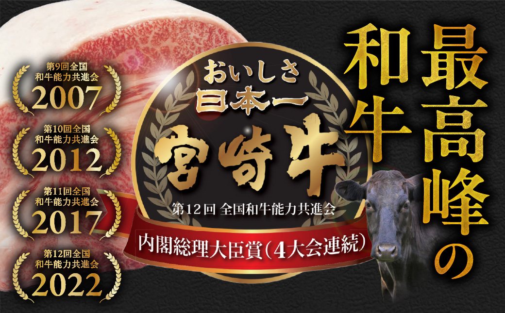 畜産農家応援! 宮崎牛しゃぶしゃぶ2種セット500g×2パック_19E-N2-003-1000