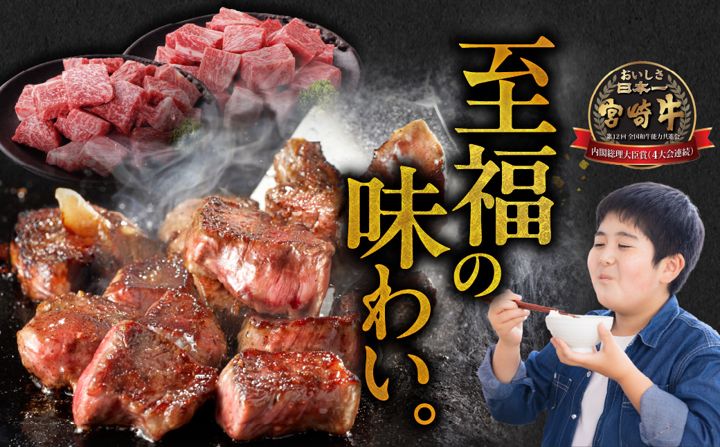 畜産農家応援! 宮崎牛サイコロステーキ2種セット500g×2パック_19E-N2-004-1000