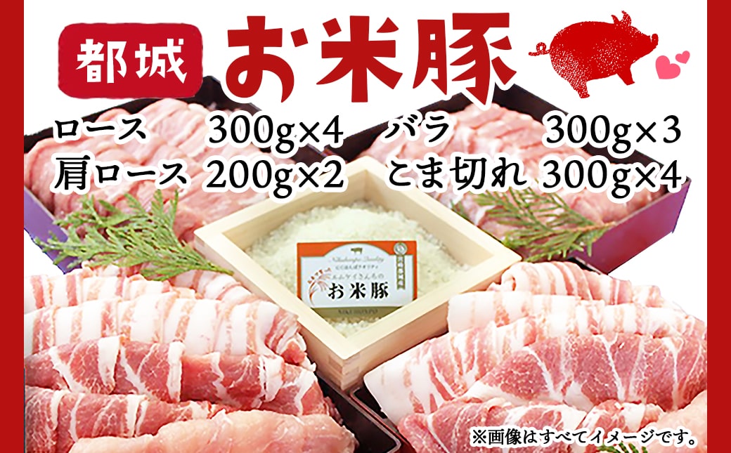 縺顔アウ雎3.7kg繧サ繝繝_23-3101_(驛ス蝓主ク) 雎夊i 雎壹Ο繝シ繧ケ 雎 縺薙∪蛻繧 蛻繧願誠縺ィ縺 雎壹ヰ繝ゥ 雎夊か繝ュ繝シ繧ケ 繝悶Λ繝ウ繝芽ア 蟆丞縺 繧ケ繝ゥ繧、繧ケ閧 繧キ繝シ繝井サ募繧