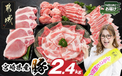 宮崎県産豚わくわく2.4kgセット(真空)≪みやこんじょ快速便≫_84-002-2400g-R