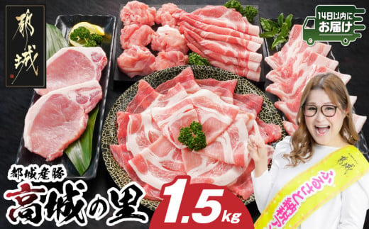「高城の里」わくわく1.5kgセット(真空)≪みやこんじょ快速便≫_84-001-1500g-R
