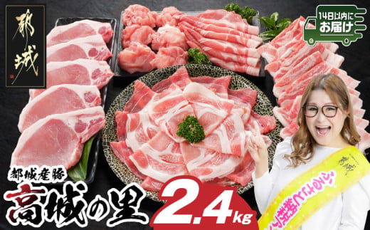 「高城の里」わくわく2.4kgセット(真空)≪みやこんじょ快速便≫_84-001-2400g-R