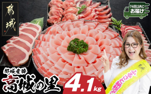 「高城の里」わくわく4.1kgセット(真空)≪みやこんじょ快速便≫_84-001-4100g-R