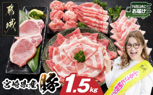 宮崎県産豚わくわく1.5kgセット(真空)≪みやこんじょ快速便≫_84-002-1500g-R