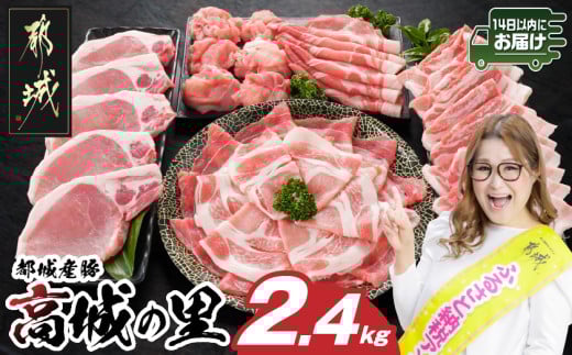 「高城の里」わくわく2.4kgセット(真空)≪みやこんじょ快速便≫_16-8401-s-R_(都城市) リピーター続出? 豚肉 都城産豚 高城の里 しゃぶしゃぶ バラ 焼肉 切り落とし 肩ローススライス ロース とんかつ  ブランド豚
