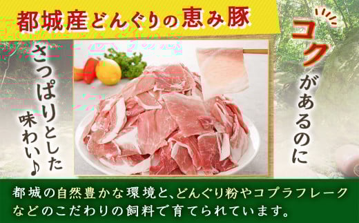 「どんぐりの恵み豚」こま切れ3.6kg_MJ-1115_(都城市) 都城産 こま切れ どんぐりの恵み豚 どんぐり粉 コプラフレーク こだわり 「コク」「サッパリ」野菜炒め 豚汁 豚肉