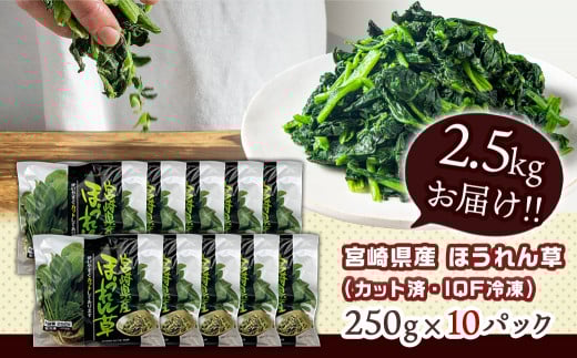 å®®åŽçç£(IQFå·å)ã»ãããè2.5kg_AA-1527_(éœååž) ã«ããæžã»ãããè ãã²ãã å·åéè IQFå·å æ¥éå·å å¿
èŠãªåã ã 250gÃ10P ããŒããã¹å¯Ÿç åžžåéè çãç©