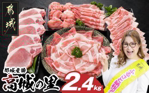 「高城の里」わくわく2.4kgセット(真空)_16-8401-s_(都城市) リピーター続出！！ 豚肉 都城産豚 高城の里 しゃぶしゃぶ バラ 焼肉 切り落とし 肩ローススライス ロース とんかつ  ブランド豚