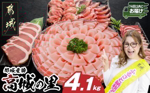 「高城の里」わくわく4.1kgセット(真空)≪みやこんじょ快速便≫_AC-8402-s-R