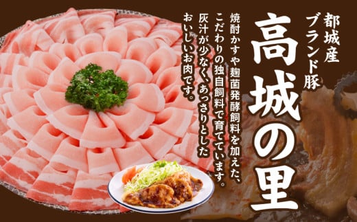 「高城の里」わくわく4.1kgセット(真空)≪みやこんじょ快速便≫_22-84-001-4100g-R